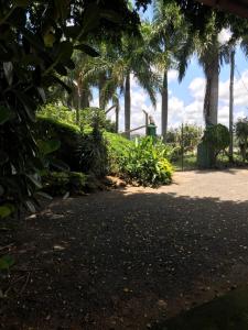セーハ・ネグラにあるChácara Santa Terezinhaの椰子の木と小道のある公園