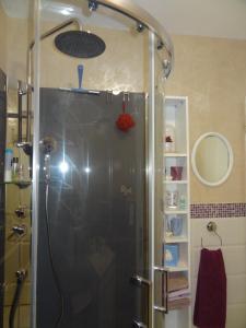 a shower with a glass door in a bathroom at La Roseraie résidence près de Vichy in Charmeil