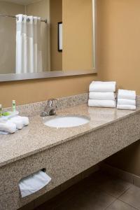 a bathroom counter with a sink and a mirror at Holiday Inn Express - Clermont, an IHG Hotel in Clermont
