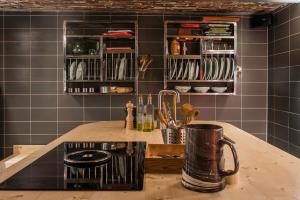 a kitchen with a counter with a stove top oven at The Green Elephant Hostel & Spa in Maastricht +86 photos