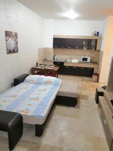 Kuchyň nebo kuchyňský kout v ubytování Apartman Sadutas