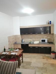 Kuchyň nebo kuchyňský kout v ubytování Apartman Sadutas