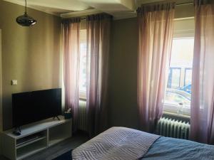 TV a/nebo společenská místnost v ubytování Villa Rosa Bad Camberg