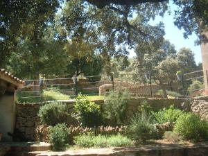 A garden outside Masico Santana