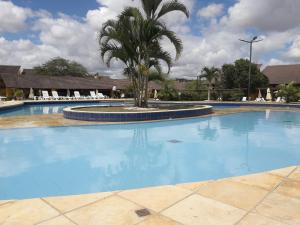 a large swimming pool with a palm tree in the middle at Gravatá - Condomínio Winterville in Gravatá