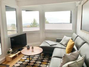 a living room with a couch and a tv at Ferienwohnung Mountainlook in Hohegeiß
