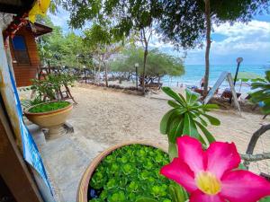 una flor rosa en una olla junto a una playa en Banthaisangthain Resort, en Ko Samed