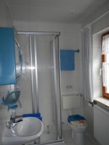 ein Bad mit einer Dusche, einem Waschbecken und einem WC in der Unterkunft Ferienwohnung Waldoase am Fuchsenstein in Spiegelau