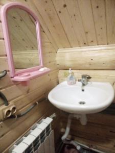 a bathroom with a sink and a mirror at Cottage Лісовий in Bukovets +45 photos