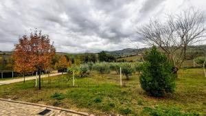 Príroda v okolí of the bed and breakfast