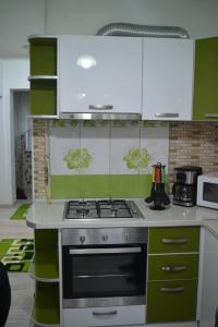 a kitchen with a stove and green and white cabinets at Green rooms Hunedoara in Hunedoara +20 photos