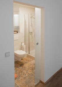 a white bathroom with a toilet and a shower at Apartment 6 in Stockach