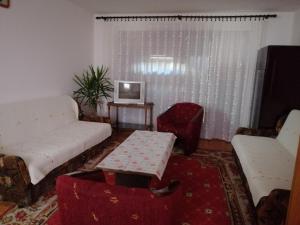 ein Wohnzimmer mit einem Sofa und einem Tisch in der Unterkunft Pansion Velickovic in Niška Banja