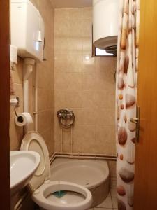 ein kleines Bad mit WC und Waschbecken in der Unterkunft Pansion Velickovic in Niška Banja
