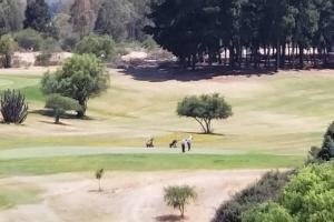 eine Gruppe von Menschen, die auf einem Golfplatz Golf spielen in der Unterkunft Espectacular Departamento Marina Golf Rapel in Las Cabras
