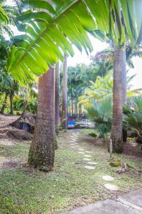 eine Reihe von Palmen in einem Park in der Unterkunft L'Îlot Palmiers in Pointe-Noire