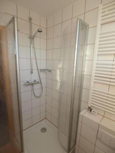 eine Dusche mit Glastür im Bad in der Unterkunft Pension Friedrich Voss in Langeoog