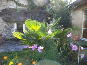 Un jardín fuera de B&B Casa Codega