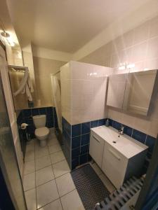 een kleine badkamer met een toilet en een wastafel bij Appartement Strasbourg Cathédrale in Straatsburg