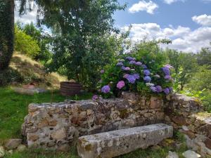 a stone wall with flowers on top of it at Gîte Moulin de Ludièras in Busserolles