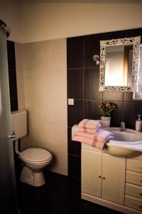 a bathroom with a sink and a toilet and a mirror at Hostel Mornar in Velika Kladuša