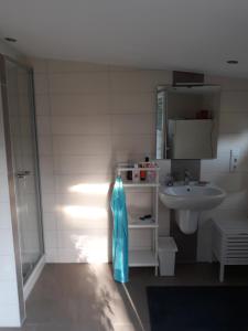 a bathroom with a sink and a toilet and a mirror at Haus Birkenheim in Hatten