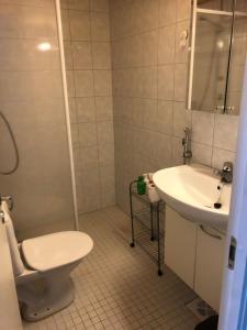Koupelna v ubytování Joutiaisentie H 44 Sunset apartment