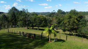 a palm tree in a field next to a fence at LINDA CASA DE CAMPO in Viamão