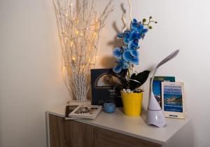 Fotografie z fotogalerie ubytování Minihouse Lisa CIR 0005 v destinaci Hone