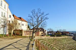 Príroda v okolí apartmánu