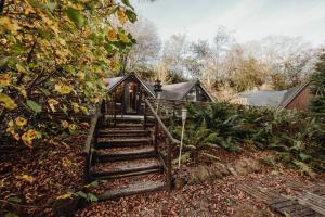 Zahrada ubytování Chalet Scandinave avec sauna IR - In the Woods