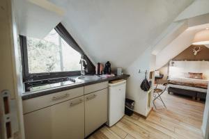 Kuchyň nebo kuchyňský kout v ubytování Chalet Scandinave avec sauna IR - In the Woods