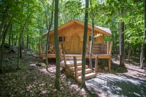 Fotografie z fotogalerie ubytování Parc Omega v destinaci Montebello