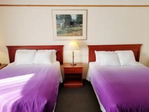 two beds in a hotel room with purple sheets at Moosomin Country Squire Inn in Moosomin