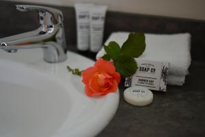 un lavabo de baño con una flor en el medio. en Abisko Lodge, en Methven