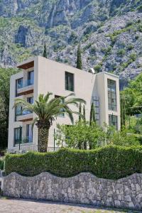 uma casa com uma palmeira em frente a uma montanha em Magical View em Kotor