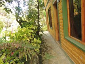 ein Haus mit Fenster und ein paar Pflanzen daneben in der Unterkunft La Casta in Patate
