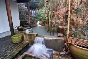 莫干山唯乐山居精品酒店外面的花园