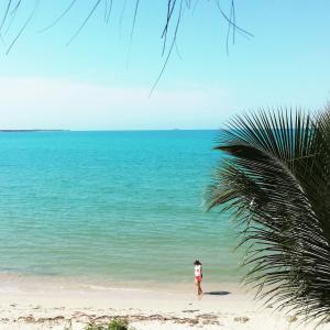 a person standing on a beach looking at the ocean at Hostal Coral Blue in Rincón