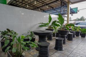 RedDoorz Syariah @ Hotel Wisma Indonesia Kendari في كينداري: مجموعة من النباتات الفخارية تجلس بجوار طاولة