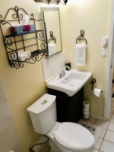 a bathroom with a white toilet and a sink at Wildflower Private Studio Suite by Belle Neige in Whistler