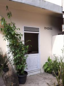 a white door with a window and a plant at Beach Guest House in Maninjau