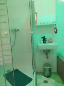 a bathroom with a shower and a sink at Elisabeth Hostel in Vienna