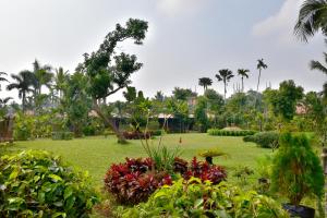 Κήπος έξω από το Toshali Sands Puri