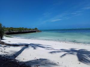 תמונה מהגלריה של Shanka Lodge Zanzibar בקיזימקזי