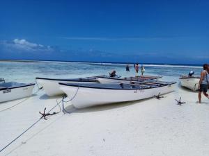 תמונה מהגלריה של Shanka Lodge Zanzibar בקיזימקזי