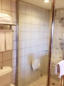 a bathroom with a shower and a toilet at Hualien Charming City Hotel in Hualien City