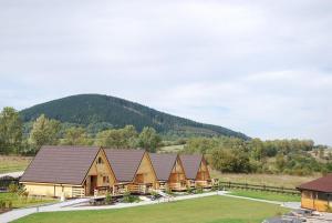 a row of houses with a mountain in the background at Gościniec Nad Bukówką in Lubawka