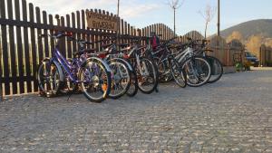 Jazda na bicykli v okolí ubytovania Gościniec Nad Bukówką