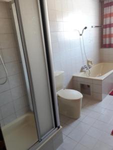 a bathroom with a toilet and a sink and a tub at Ferienwohnung Johann Spreitzer in Murau